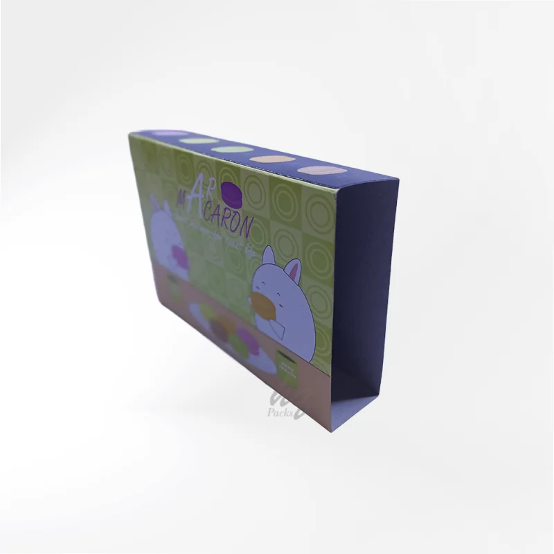 paper belt duplex 1 800x799.png