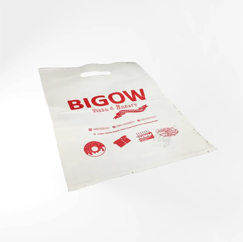 plastik plong 800x799.png